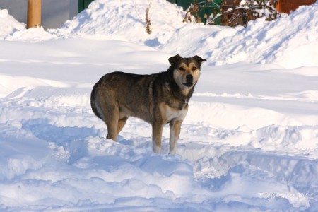 Taganrog 2013 (008)