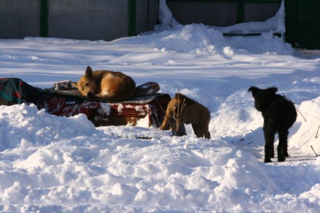 Taganrog 2013 (028)