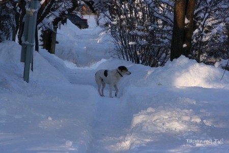 Taganrog 2013 (067)