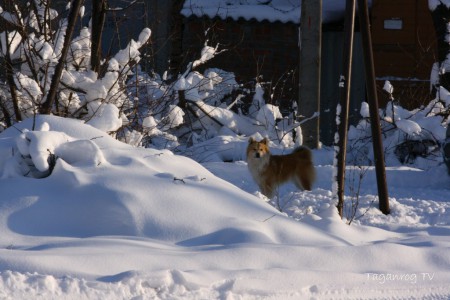 Taganrog 2013 (12)