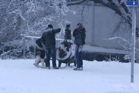 Taganrog foto (28)