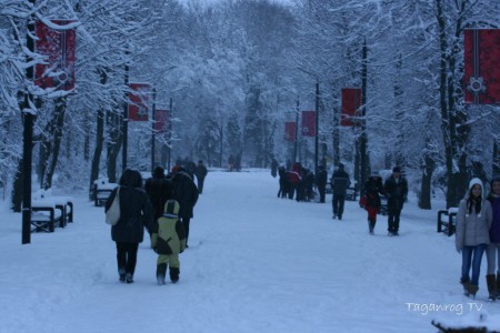 Taganrog foto (40)