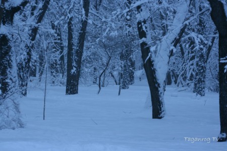 Taganrog foto (43)