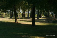 Taganrog 2012 (107)