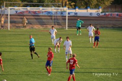 Таганрог-СКА  4-0 (91)