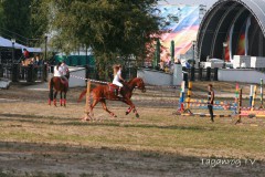 спортивный праздник Пушкинская (02)