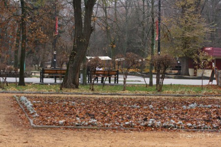 Taganrog foto (04)