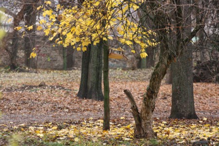 Taganrog foto (12)