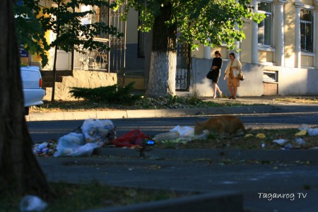 Taganrog osen foto (103)