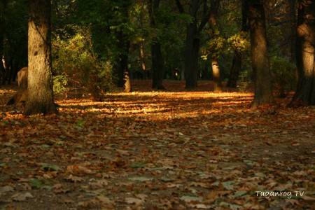 Taganrog osen foto (142)