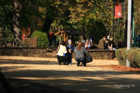 Taganrog osen foto (196)