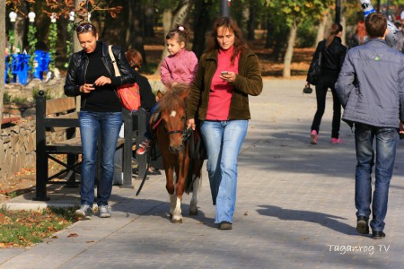 Taganrog osen foto (204)