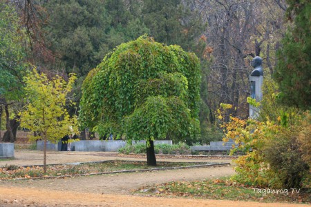 Taganrog osen foto (234)