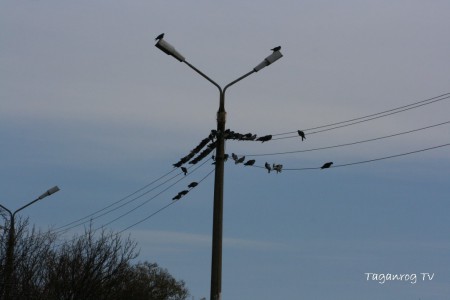 Taganrog osen foto (258)