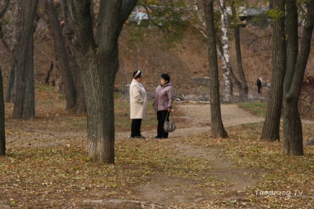 Taganrog osen foto (260)