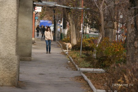 Taganrog osen foto (285)